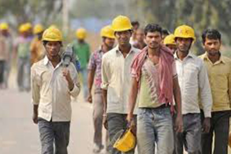 Labour & Employment
